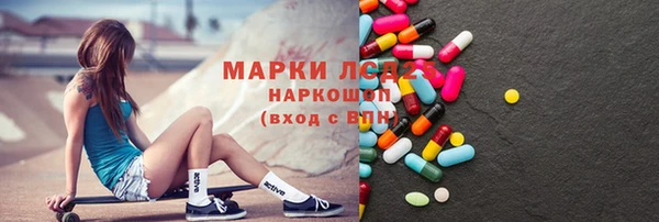 индика Верея