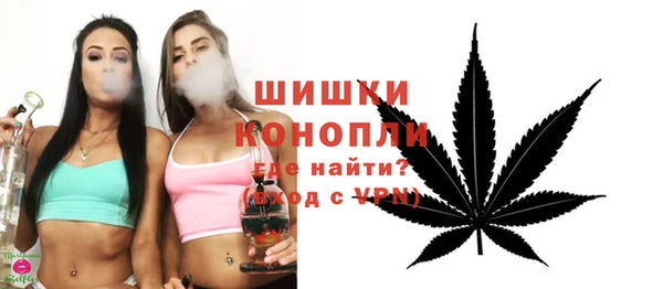 индика Верея