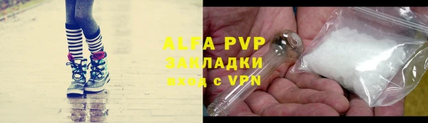 индика Верея