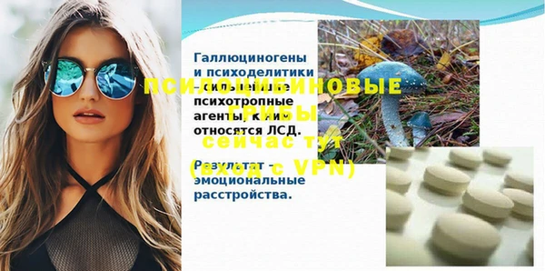индика Верея