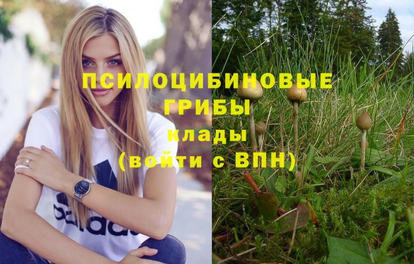 индика Верея