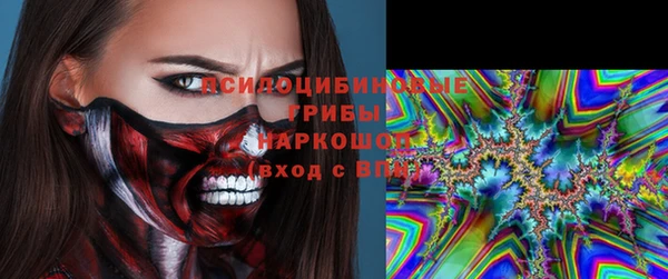 индика Верея