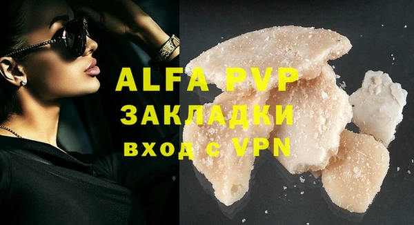 индика Верея