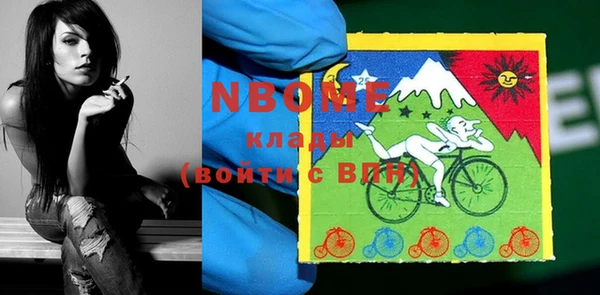 индика Верея