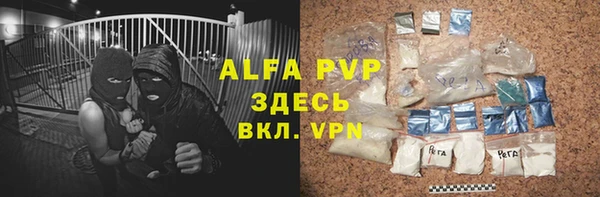 индика Верея